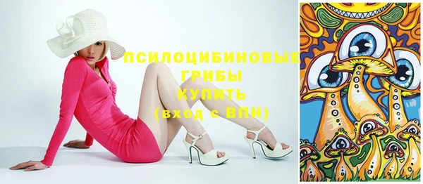 сатива Арсеньев