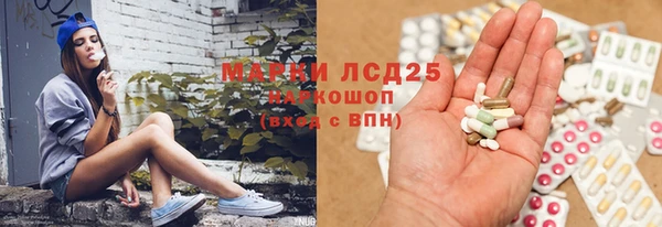 сатива Арсеньев