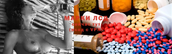 индика Осташков
