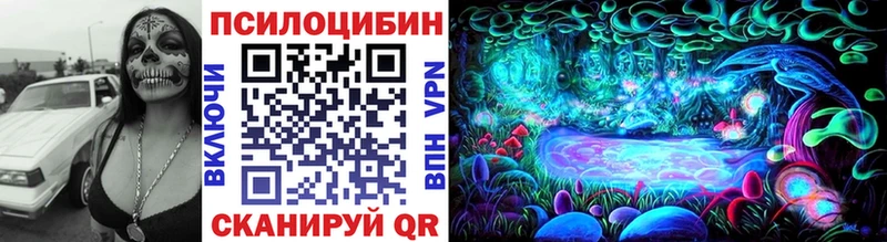 OMG как зайти  даркнет сайт  Сорск  Псилоцибиновые грибы Psilocybe 